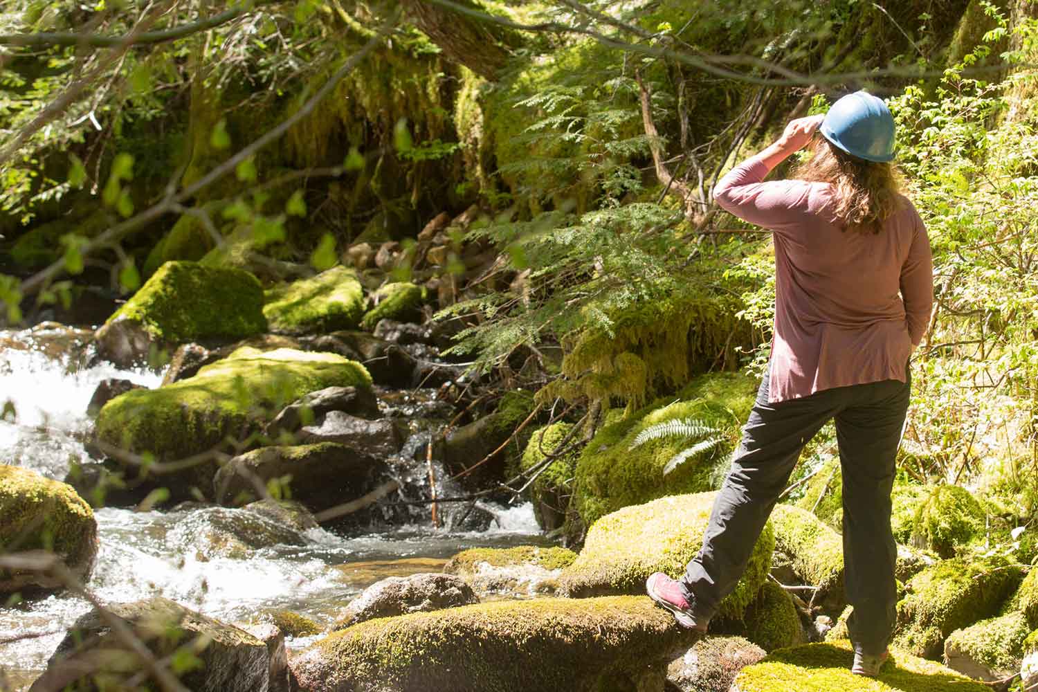 Student examining a forested area
